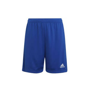 adidas MKS Kotwica juniorskie spodenki treningowe I